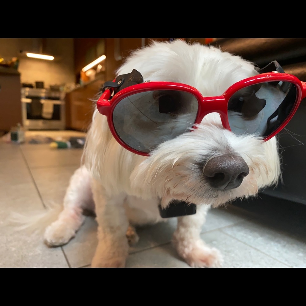 Ski sunglasses